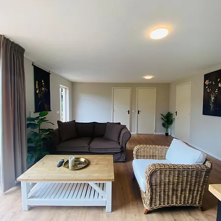 Morning Glory, Forest Beekbergen