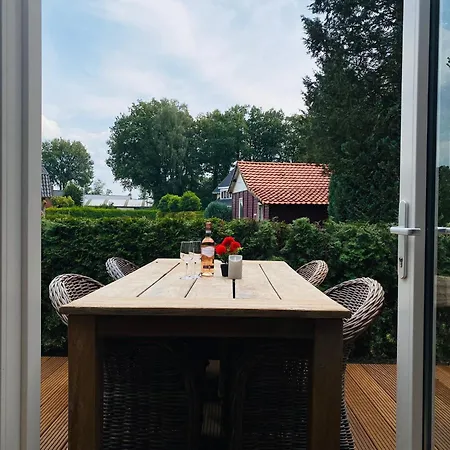 Morning Glory, Forest