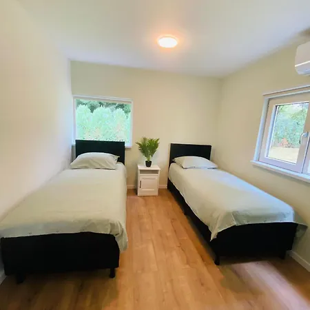 Morning Glory, Forest Nyaraló *