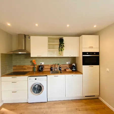 Morning Glory, Forest Nyaraló