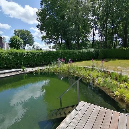 Morning Glory, Forest Nyaraló *