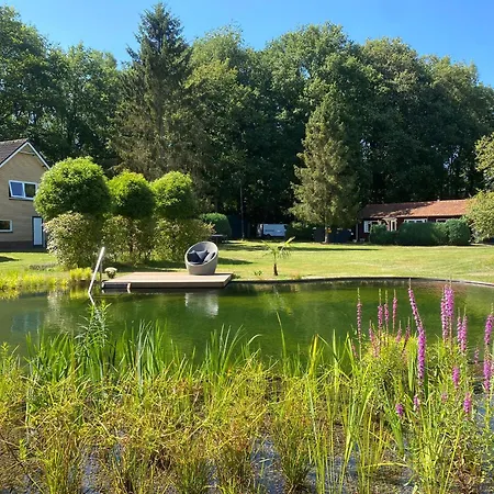 Morning Glory, Forest Beekbergen