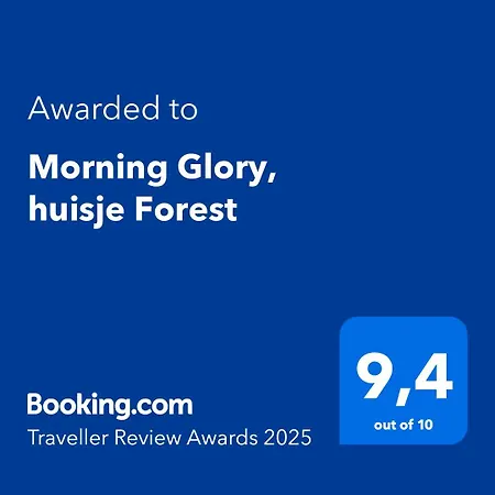 Morning Glory, Forest *