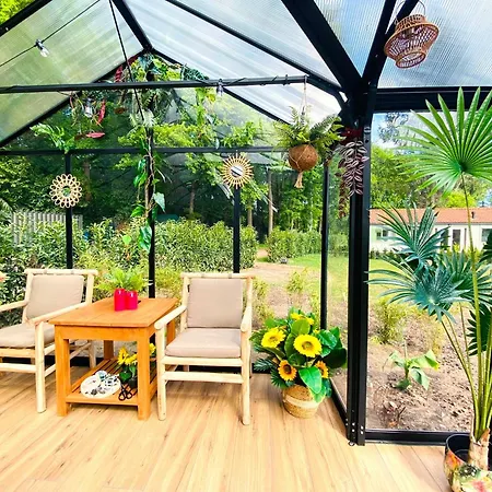 Morning Glory, Forest Semesterbostad Beekbergen