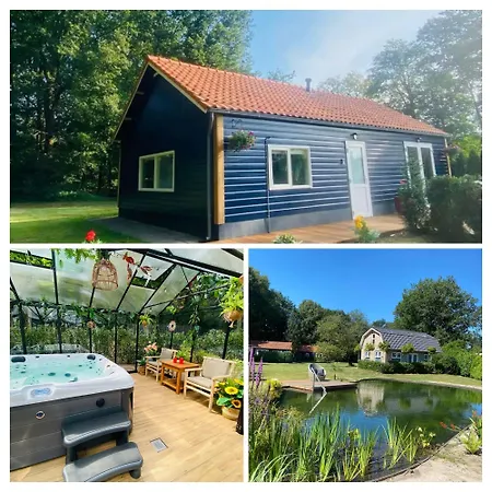 Morning Glory, Forest Beekbergen