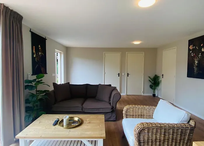 Morning Glory, Forest Beekbergen