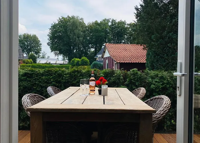 Morning Glory, Forest