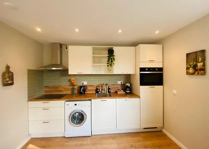 Morning Glory, Forest Semesterbostad