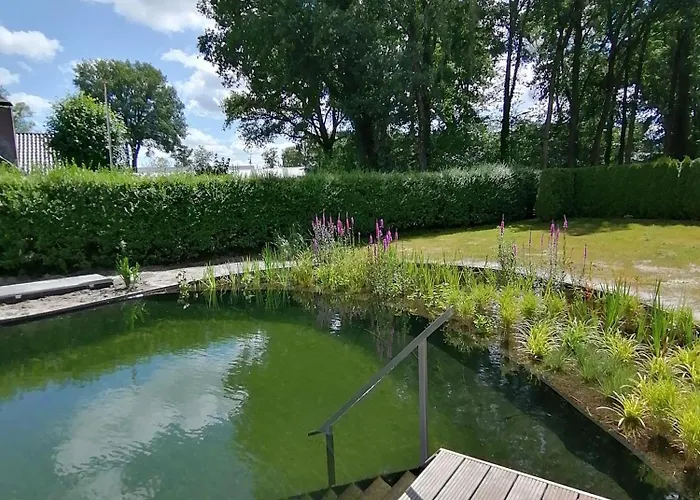 Morning Glory, Forest Holiday home *