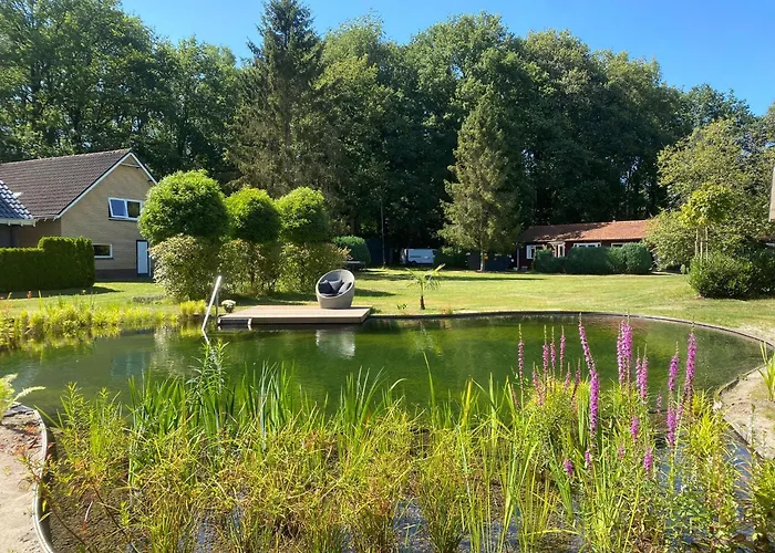 Morning Glory, Forest Beekbergen