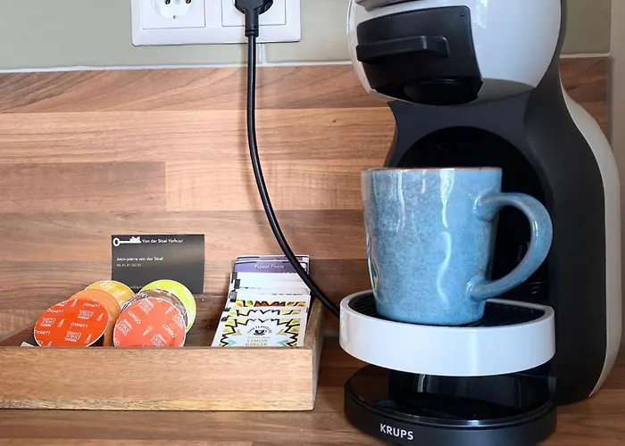 Morning Glory, Forest