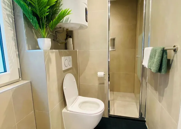 Morning Glory, Forest *