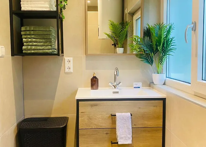 Morning Glory, Forest