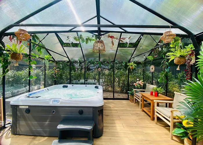 Morning Glory, Forest Beekbergen