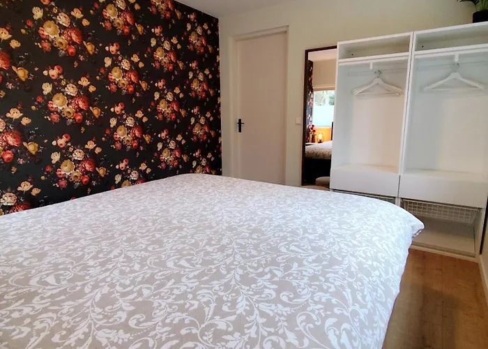 Morning Glory, Forest *