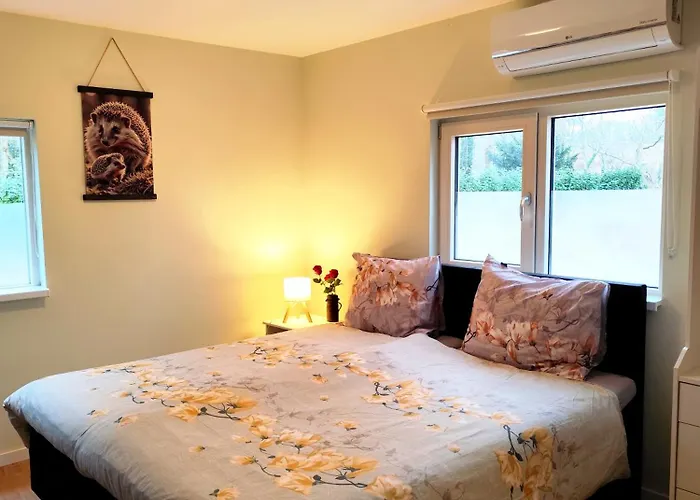 Morning Glory, Forest Holiday home *